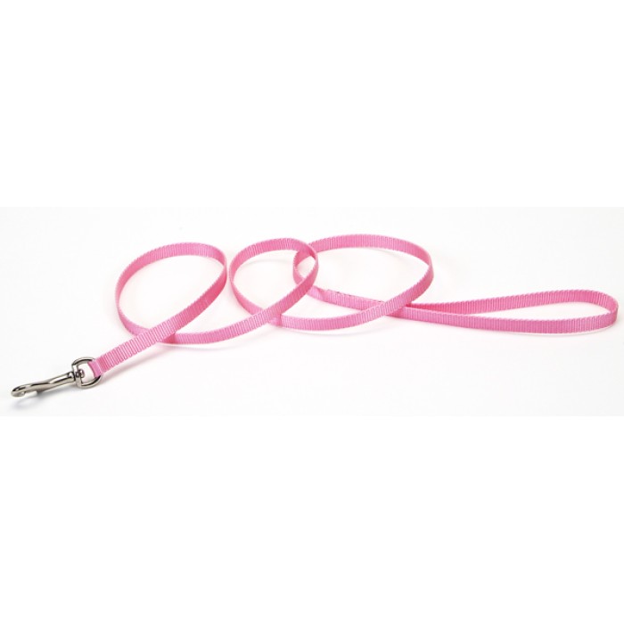 Coastal Nylon поводок для собак, 1 см × 1,2 м , фламинго.
